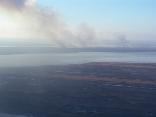 Rezervaţia Deltei Dunării, în pericol: incendiul se extinde - vezi foto din elicopter!